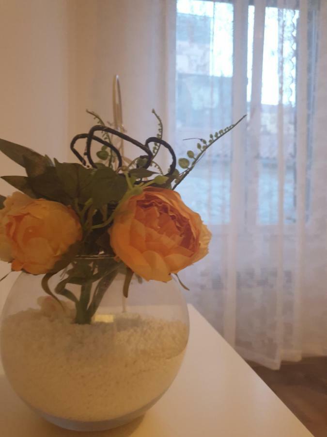 Stella Apartment Sibenik Charm&History United Eksteriør bilde